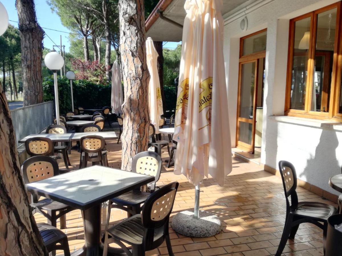 Pineta Sul Mare Camping Village 切塞纳蒂科 外观 照片